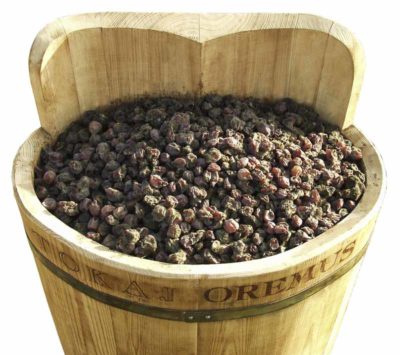 Puttonyo — 用作盛載貴腐霉葡萄的桶。