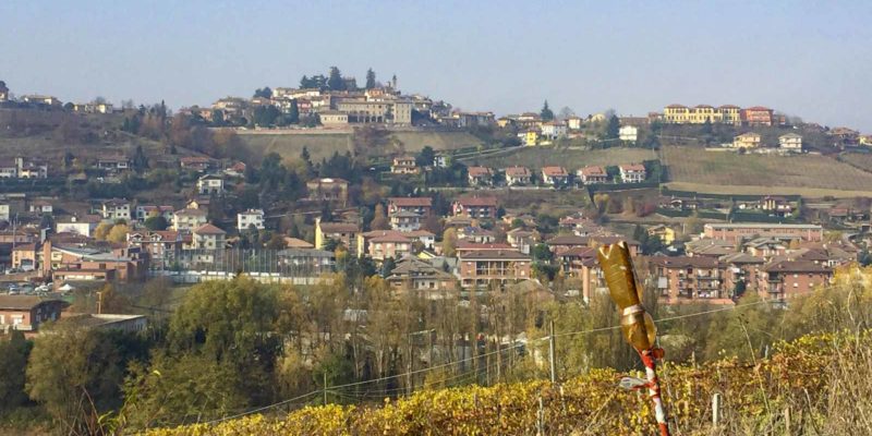 Dolcetto是意大利Piedmont區三大葡萄之一