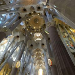 教堂內的「森林」設計，精緻細膩，感受到 Gaudi 對建築的完美追求，簡直是天作之合