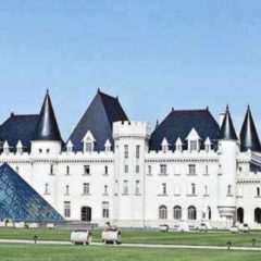 Chateau Dynasty