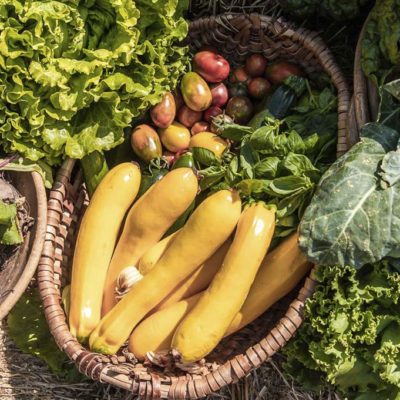 酒莊的大菜園項目（GRANDORTO），在葡萄園中種植著各種蔬菜、水果、香草和穀物，為酒莊的餐廳PARADEIS提供最新鮮的食材。